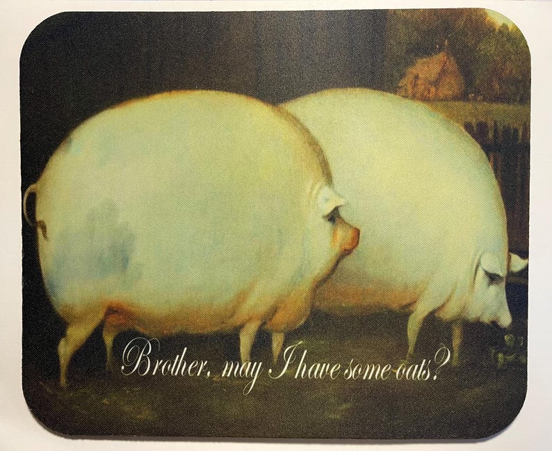 Gaming Accessories To Have - أخي هل لديه بعض الشوفان؟ لوحة